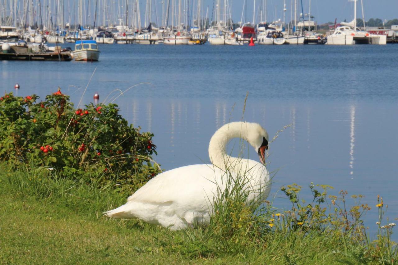 2Zi-Ferienwohnung Am Suedstrand Mit Eigenem Parkplatz Perfekt Fuer Familie Burgtiefe auf Fehmarn Exterior photo